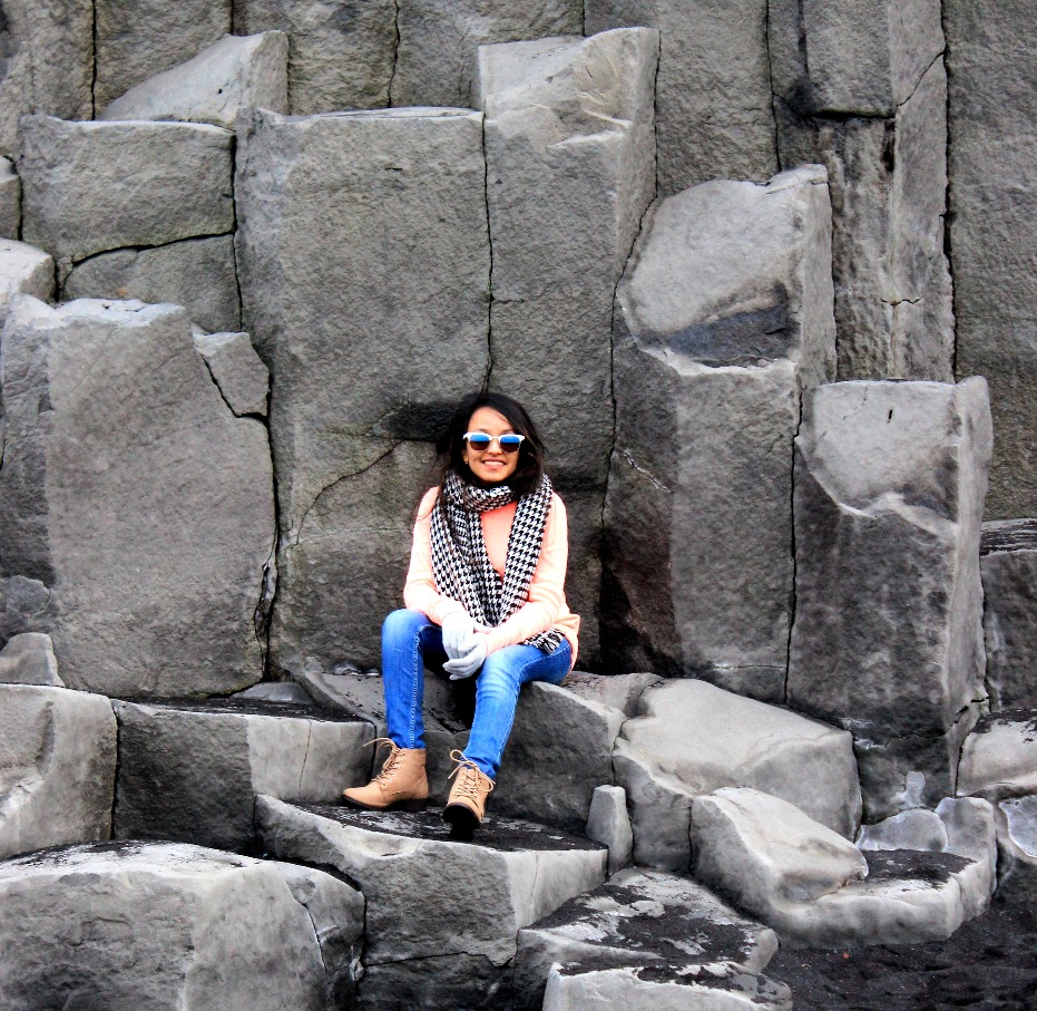 Benil on basalt rocks at Vik black sand beach, Iceland